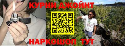 молекула духа Шелехов
